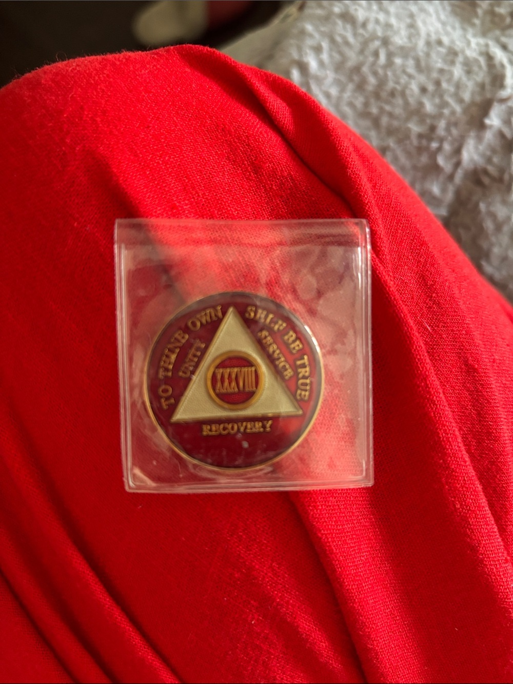 38 Years 12 Step/Recovery Coin